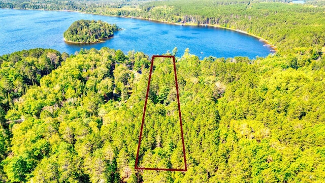 birds eye view of property with a wooded view and a water view