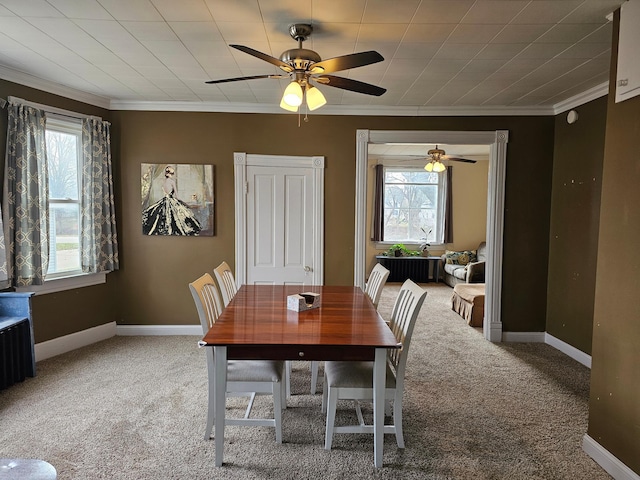 carpeted dining area with ceiling fan, a healthy amount of sunlight, and ornamental molding