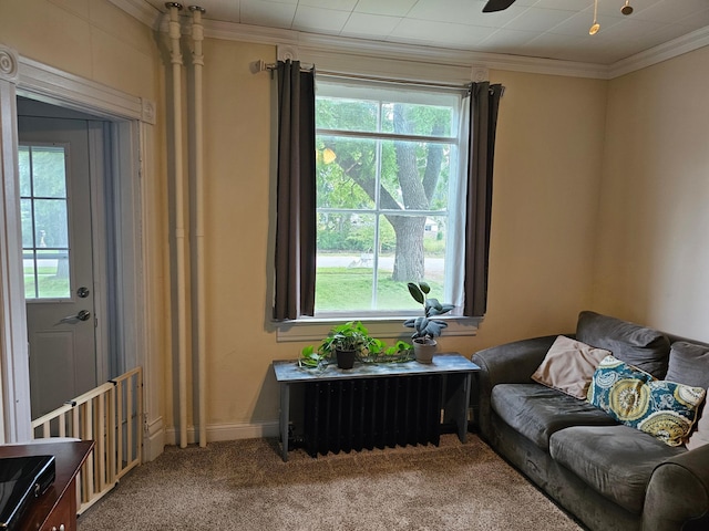 living area featuring carpet, radiator, and ornamental molding