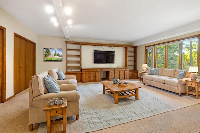 living room with light carpet