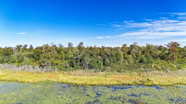 view of nature featuring a water view