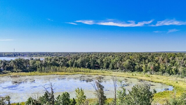 4451 See Gull Cv, Brainerd, MN 56401 - photo 41