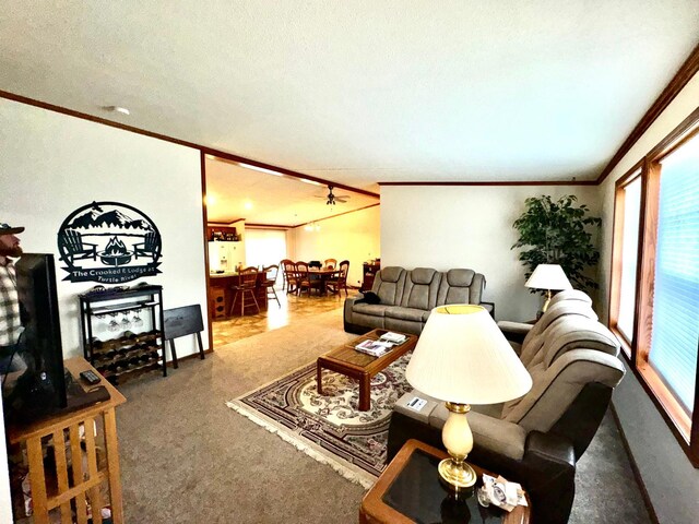 living room with lofted ceiling, a textured ceiling, carpet, and crown molding