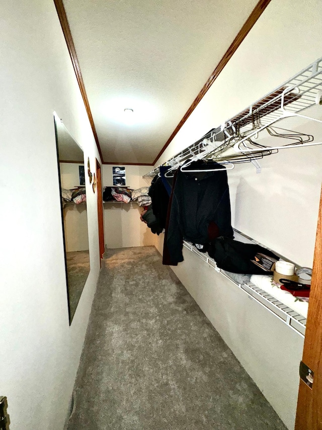 walk in closet with vaulted ceiling and carpet floors