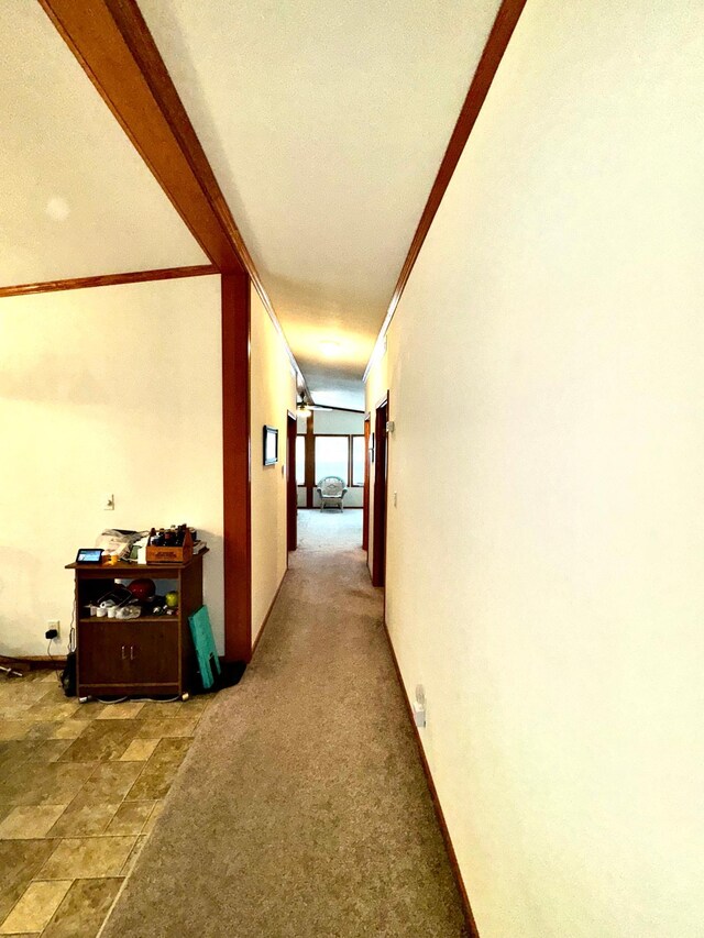 hall with carpet flooring, ornamental molding, and a textured ceiling