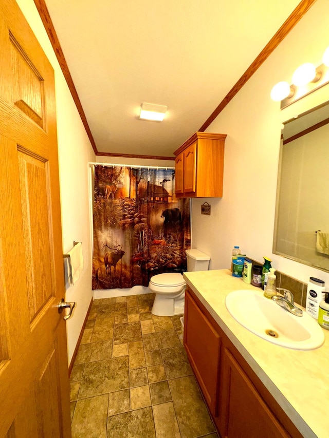 bathroom featuring toilet, vanity, and crown molding