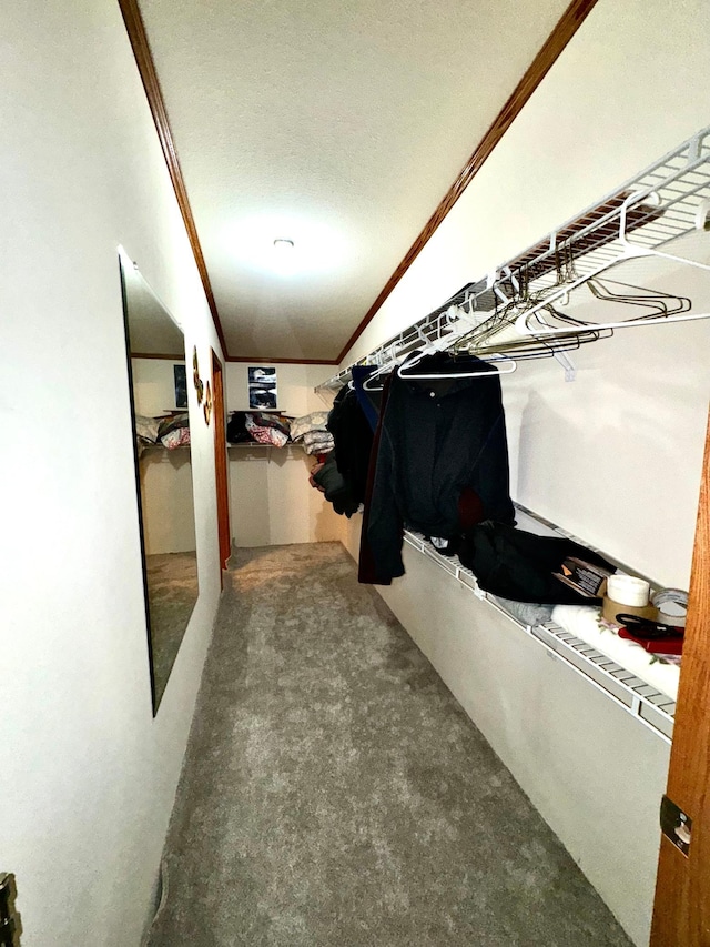 50370 Turtle River Rd, Marcell, MN 56628 - spacious closet featuring vaulted ceiling