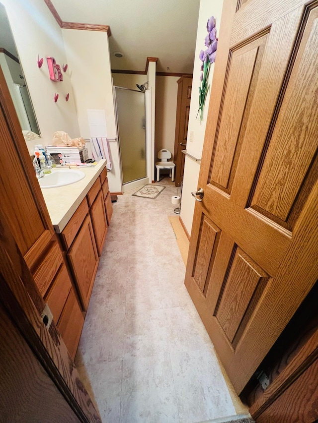 50370 Turtle River Rd, Marcell, MN 56628 - bathroom featuring vanity, a shower stall, and crown molding