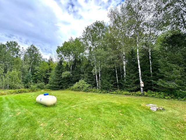 50370 Turtle River Rd, Marcell, MN 56628 - view of green lawn