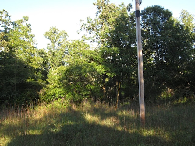 Listing photo 2 for TBD 32nd Ave SW, Backus MN 56435