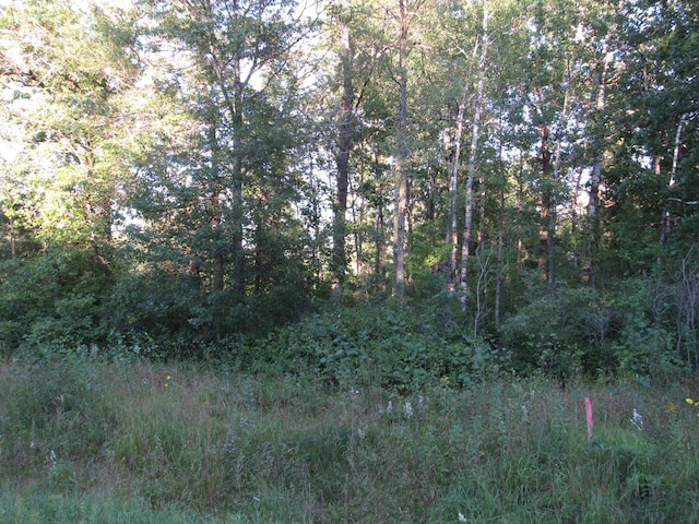 Listing photo 3 for TBD 32nd Ave SW, Backus MN 56435