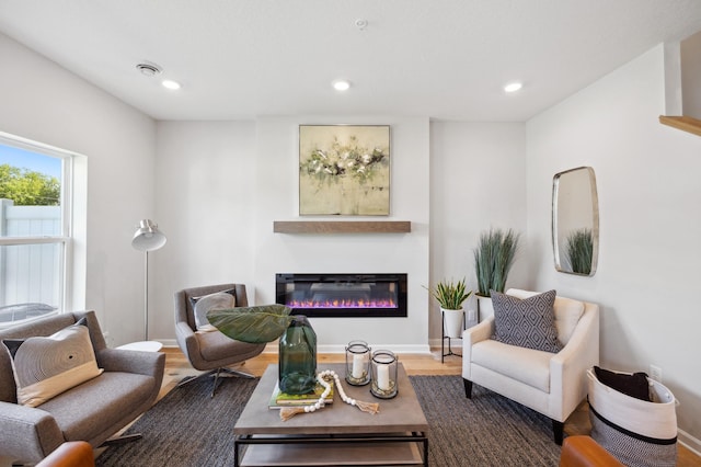 living room featuring wood-type flooring