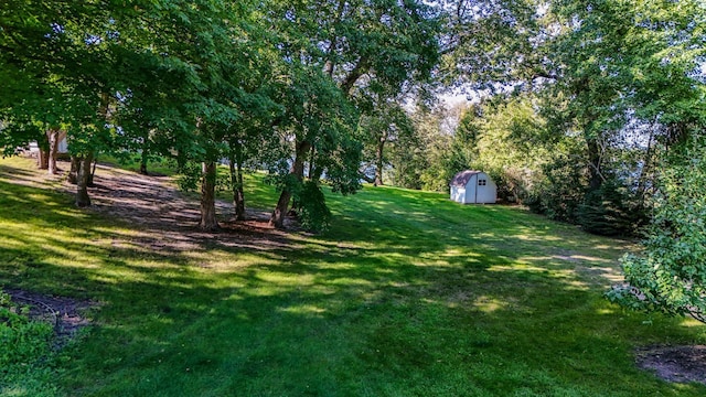 view of yard featuring a storage unit