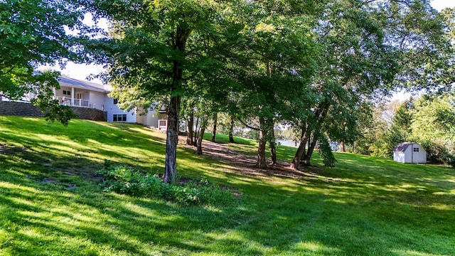 view of yard with a shed