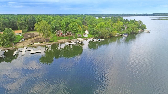 aerial view with a water view and a view of trees