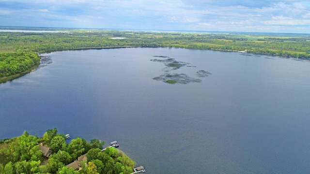 bird's eye view with a water view and a forest view