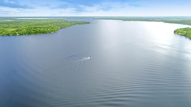 drone / aerial view with a water view and a forest view