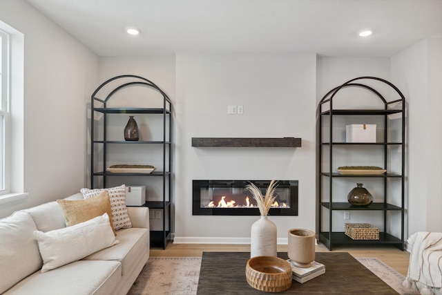 living room with light wood-type flooring