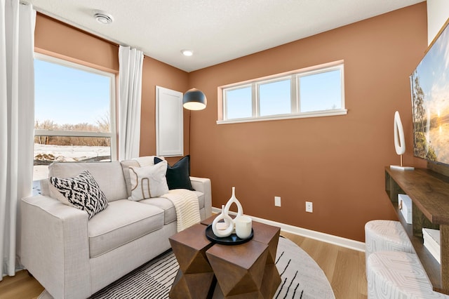 living room with light wood-type flooring