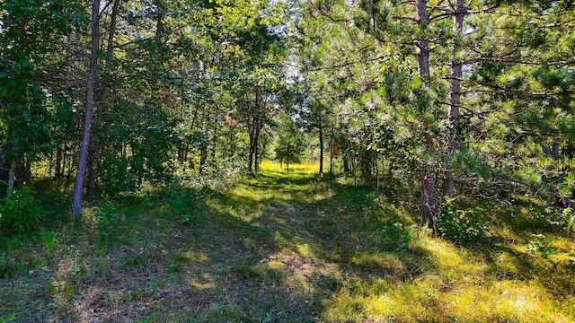 TBD Paris Rd, Baxter, MN 56425