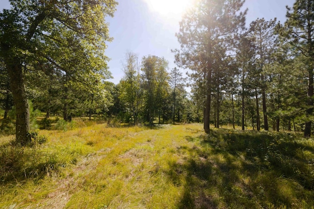 TBD Paris Rd, Baxter, MN 56425