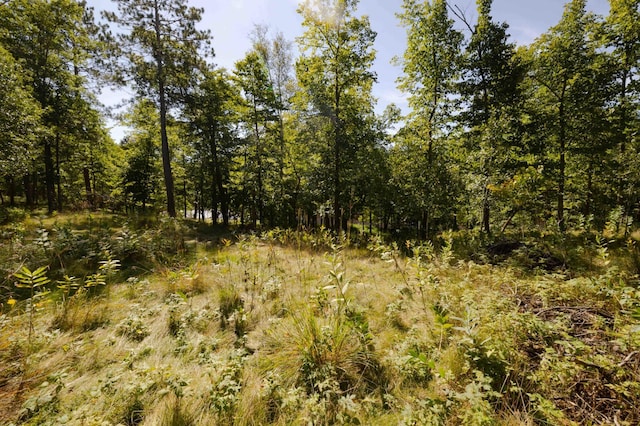 TBD Paris Rd, Baxter, MN 56425