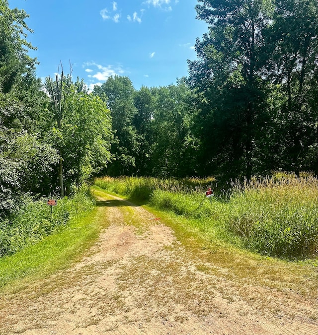 view of local wilderness