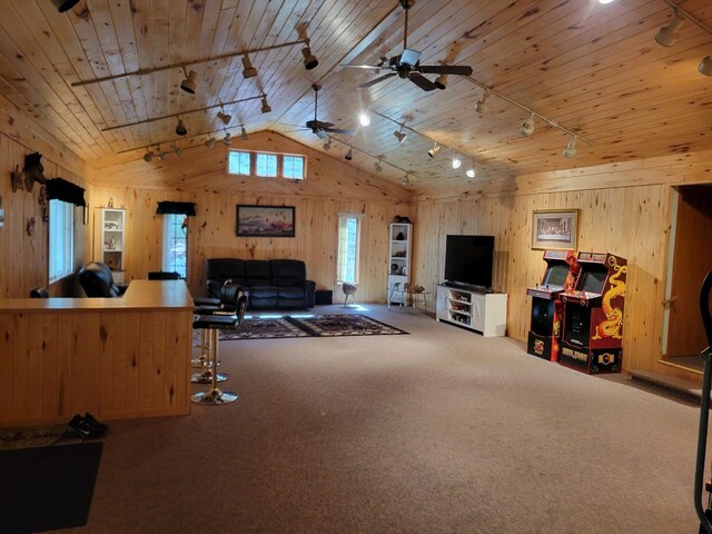 26451 US-71, Arago Twp, MN 56470 - living area featuring wood walls, rail lighting, and vaulted ceiling