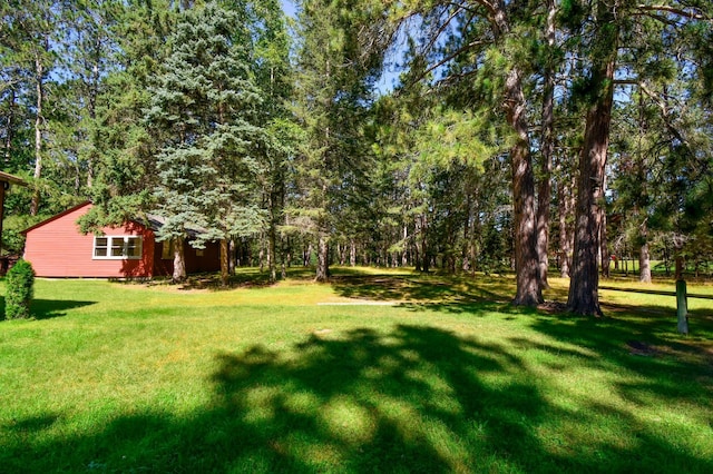 26451 US-71, Arago Twp, MN 56470 - view of yard