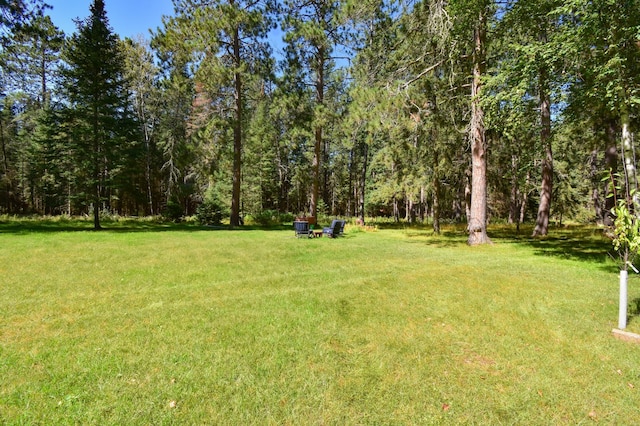 view of yard featuring a view of trees