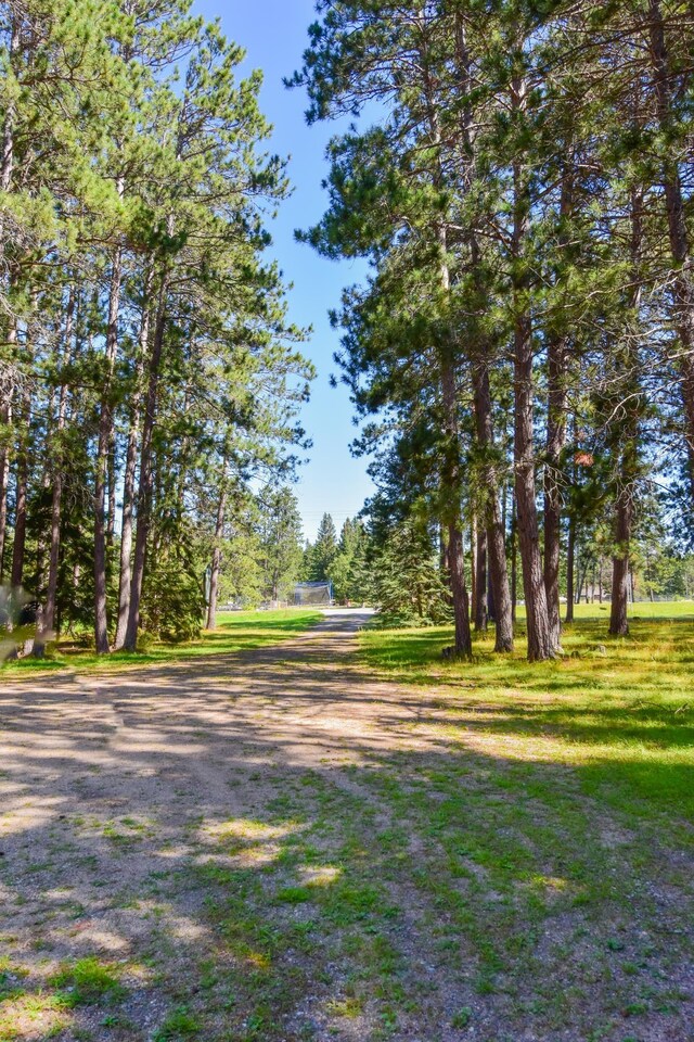 26451 US-71, Arago Twp, MN 56470 - view of property's community
