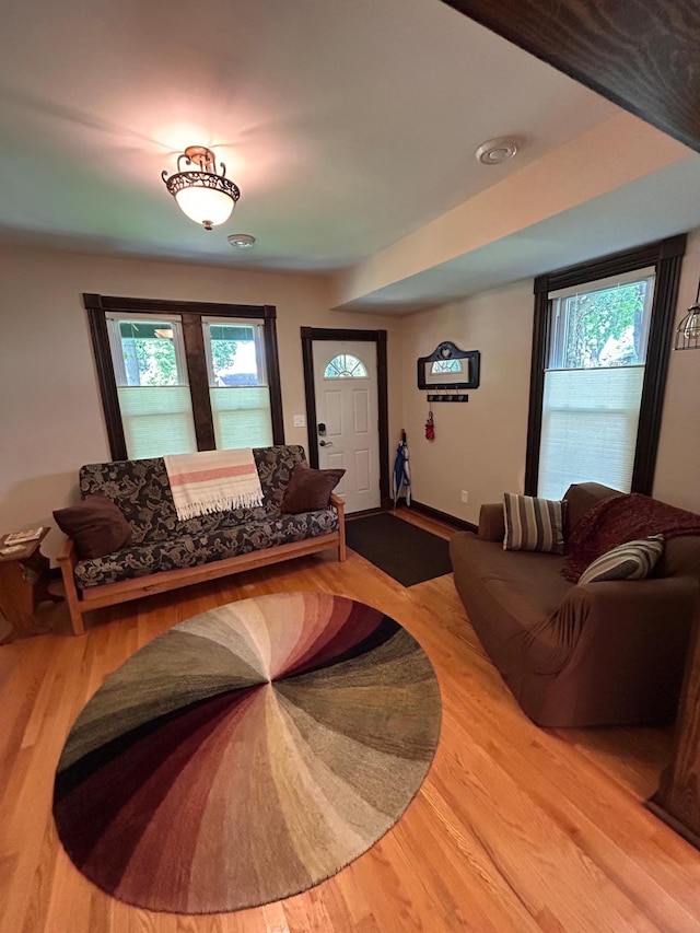 living room featuring plenty of natural light and hardwood / wood-style flooring