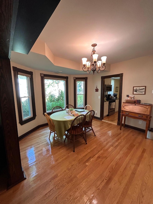 dining space with a chandelier and light hardwood / wood-style floors