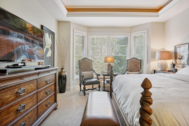 bedroom featuring a tray ceiling