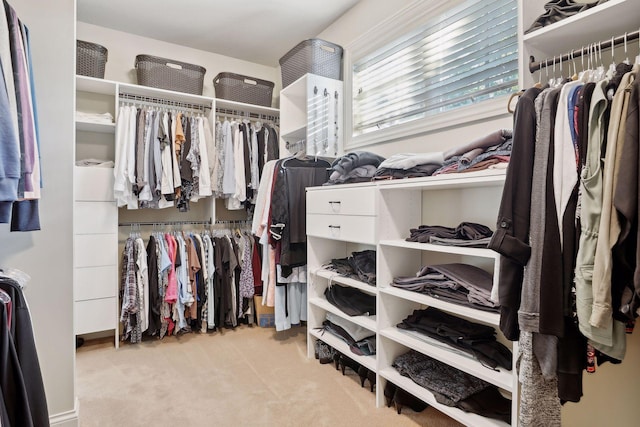 spacious closet with light colored carpet