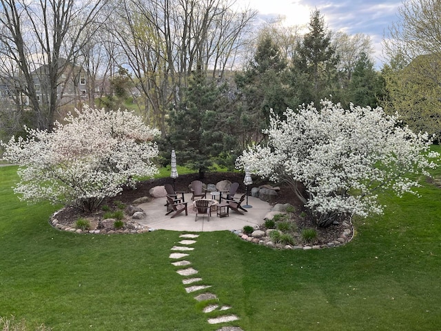 view of yard featuring an outdoor fire pit and a patio