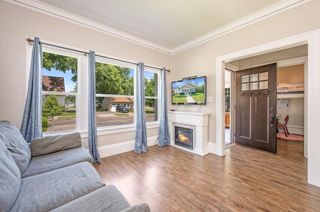 living room with wood-type flooring, a baseboard heating unit, and ornamental molding