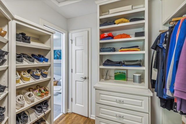 walk in closet featuring light hardwood / wood-style floors