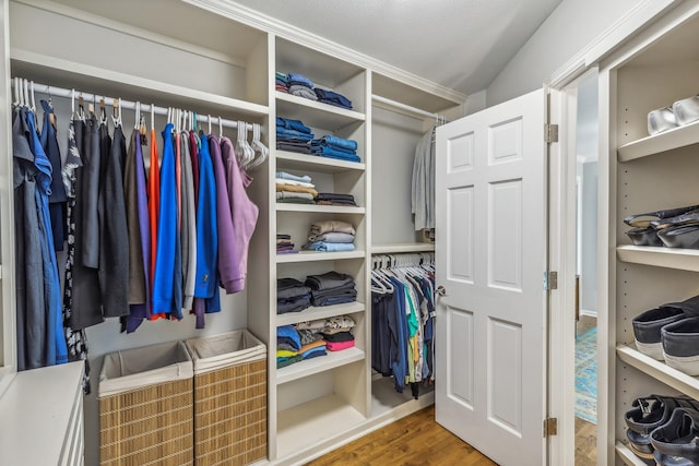 walk in closet with wood-type flooring