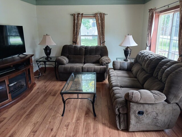 living room featuring wood finished floors