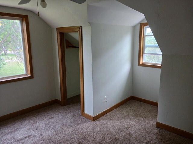 additional living space featuring carpet flooring, a ceiling fan, baseboards, and vaulted ceiling