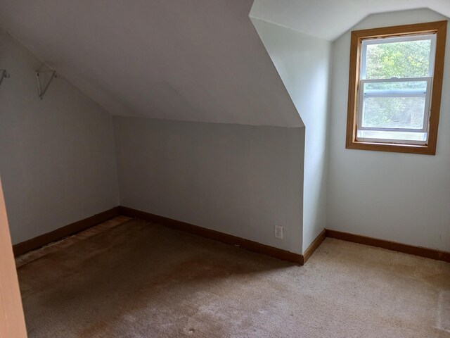 additional living space featuring lofted ceiling, carpet flooring, and baseboards