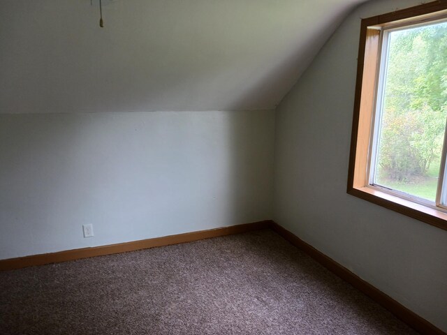 bonus room featuring carpet, vaulted ceiling, a healthy amount of sunlight, and baseboards