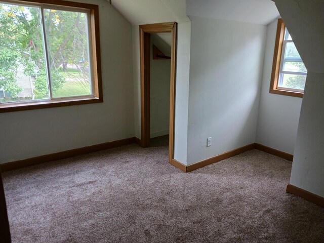 additional living space featuring carpet flooring, baseboards, and vaulted ceiling