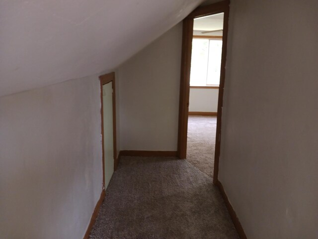 additional living space with lofted ceiling, carpet, and baseboards