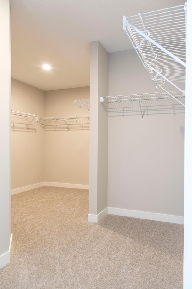 walk in closet with carpet flooring