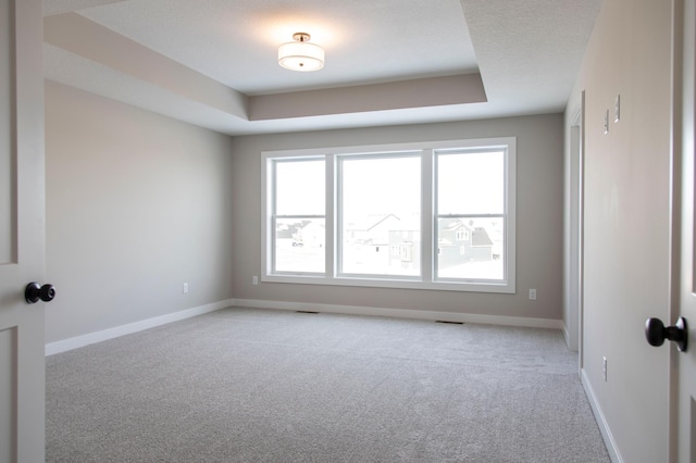 carpeted empty room with a raised ceiling