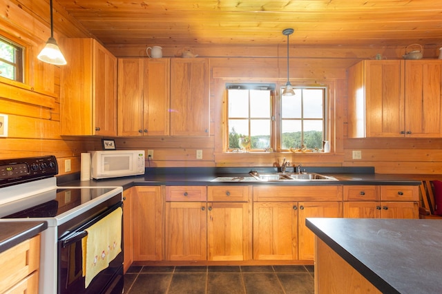 kitchen featuring wood ceiling, dark countertops, a healthy amount of sunlight, range with electric cooktop, and white microwave