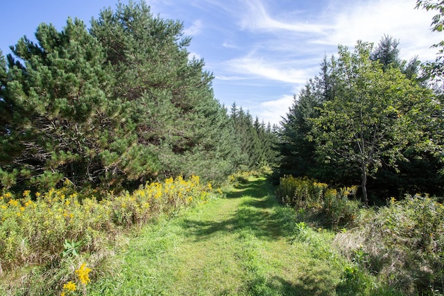 view of landscape with a view of trees