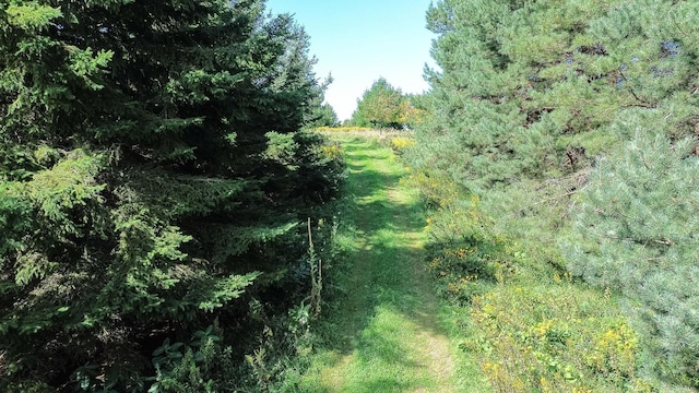 view of local wilderness with a forest view